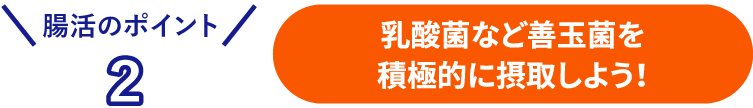腸活のポイント2 乳酸菌など善玉菌を積極的に摂取しよう！