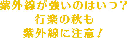 サトちゃんマガジン 佐藤製薬 サトちゃんシティ
