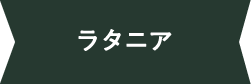 ラタニア