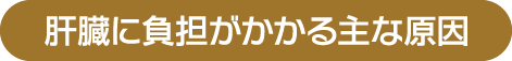 肝臓に負担がかかる主な原因