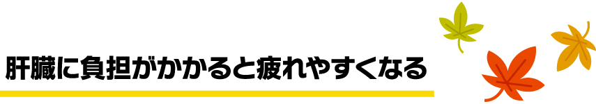 肝臓に負担がかかると疲れやすくなる