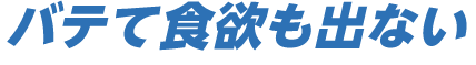 バテて食欲も出ない